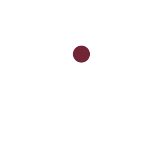 Logo INVINIC